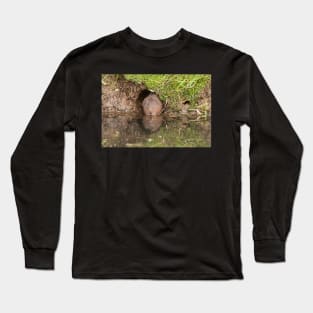 Arvicola amphibius at his front door Long Sleeve T-Shirt